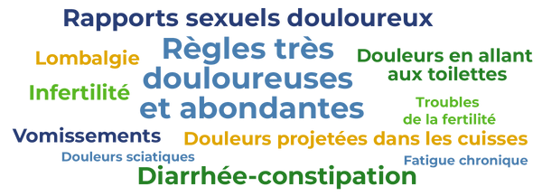 Nuage de mots des différents symptômes : rapports sexuels douloureux, règles très douloureuses et abondantes, infertilité, douleurs à la selle, troubles de la fertilité, fatigue chronique, diarrhée…